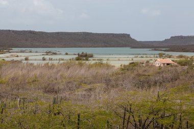 Terk edilmiş tuz göl Curacao '