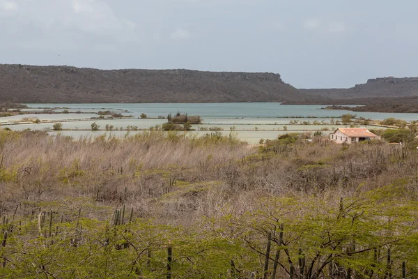 Abandoned Salt Pond on Curacao — Stock Photo, Image
