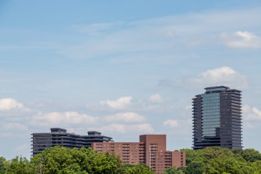 Otel ve ofis kuleleri ağaçlardan yükselen