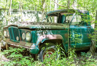 Ormanda yaşlı yeşil Jeep