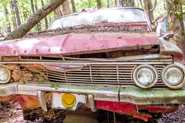 Cara sonriente en Chevrolet rojo — Foto de Stock