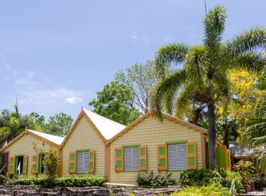 Palmiye ağaçları altında sarı tropikal bina