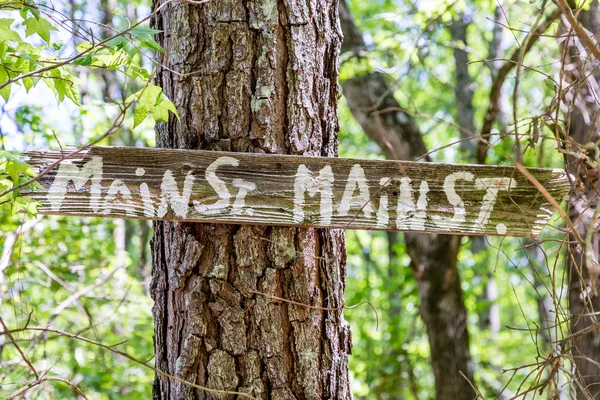 Hauptstraße auf Kiefer — Stockfoto