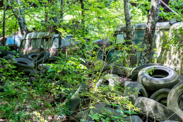 Alte Reifen im Wald — Stockfoto