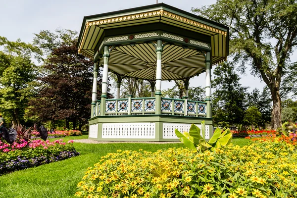 Yellow Daisies by Gazebo — Stock Photo, Image