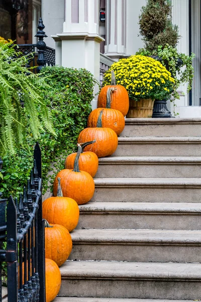 Line of Pumpkins Up Steps — Stock Photo, Image