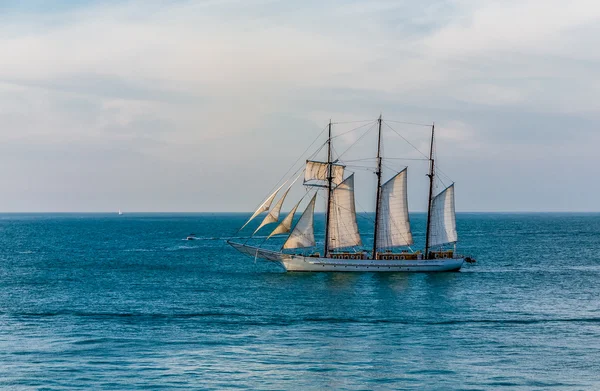 Tre Masted segelbåt utanför Key West — Stockfoto