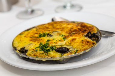 Salyangoz plaka üzerinde