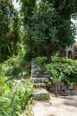 Ormanda taş adımları