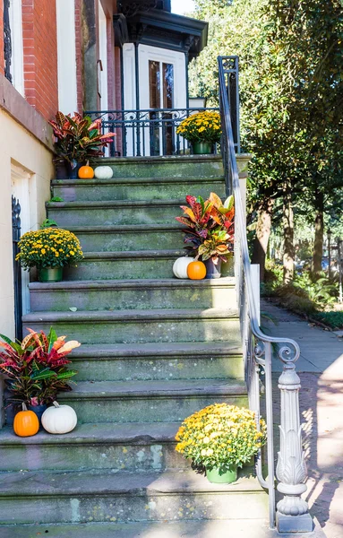 Calabazas y flores en los pasos — Foto de Stock