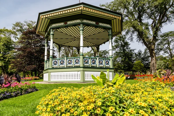 Gazebo en la colina detrás de margaritas amarillas — Foto de Stock