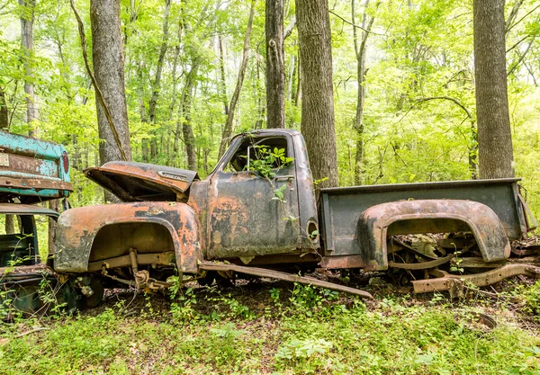 Un Ford F-100 — Foto de Stock