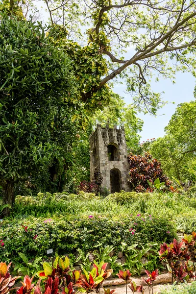 Torre de piedra antigua en la selva — Foto de Stock