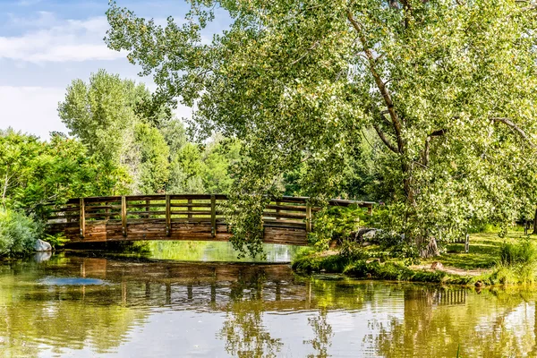 Pont en bois sur le lac Calm — Photo