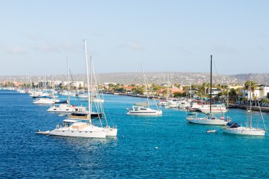 Bonaire içinde demirleyen beyaz yatlar