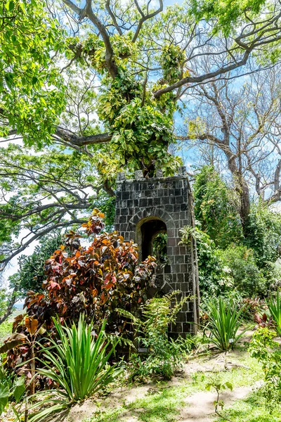 Камінь вежі на пагорбі в джунглі — стокове фото