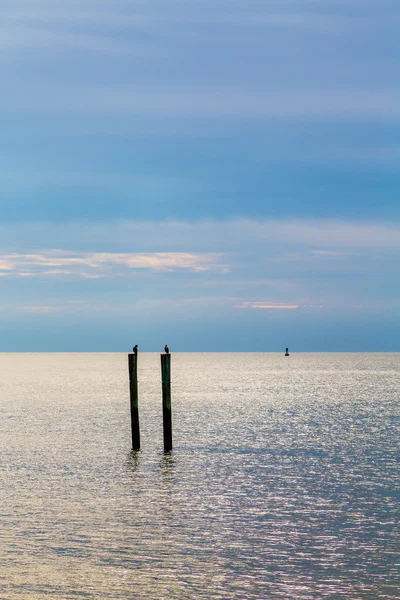 Birds on Pilings Against Stormy Sky — Stock Photo, Image