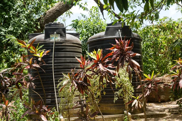Vattentankar i djungeln — Stockfoto