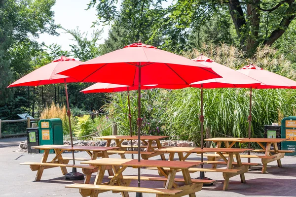 Paraguas rojos sobre mesas de picnic de madera —  Fotos de Stock