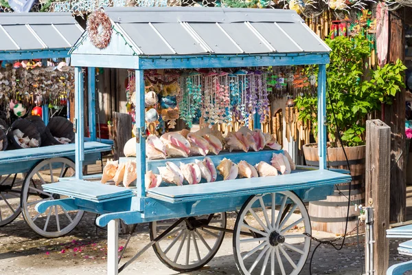 Conchiglie di conchiglia nel carrello blu — Foto Stock