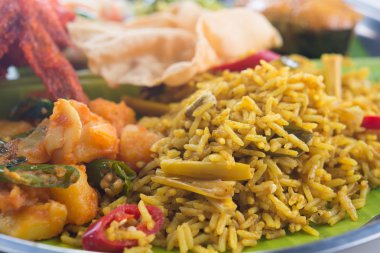 Hint biryani pirinç portre