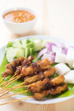 Aziatische delicatesse Kip sate
