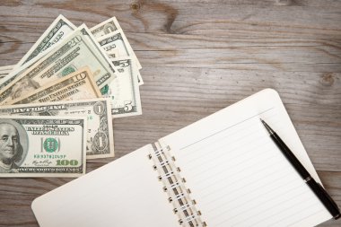 Dolar ve günlüğü.
