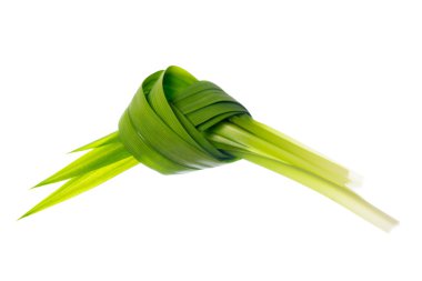 Taze Pandan yaprakları