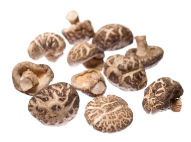 shiitake mantar kurutulmuş