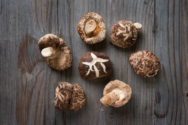 Shiitake mushrooms view — Stock Photo, Image