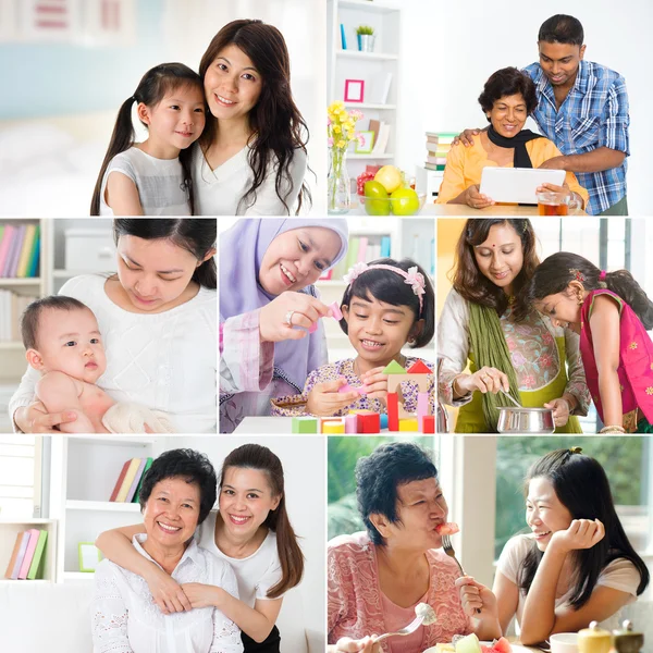 Collage foto de madres y crías —  Fotos de Stock