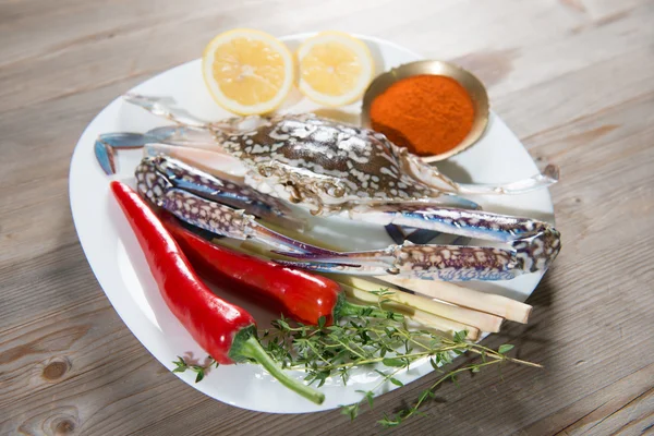 Cangrejo azul crudo e ingredientes en plato blanco — Foto de Stock