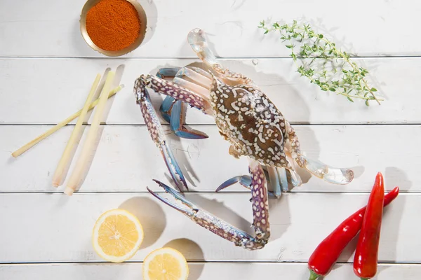 Von oben rohe blaue Krabbe und Zutaten — Stockfoto