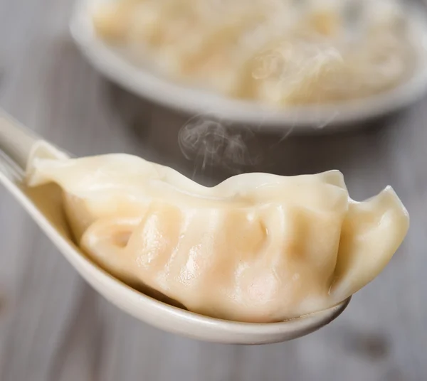 Asian Chinese gourmet dumplings — Stock Photo, Image