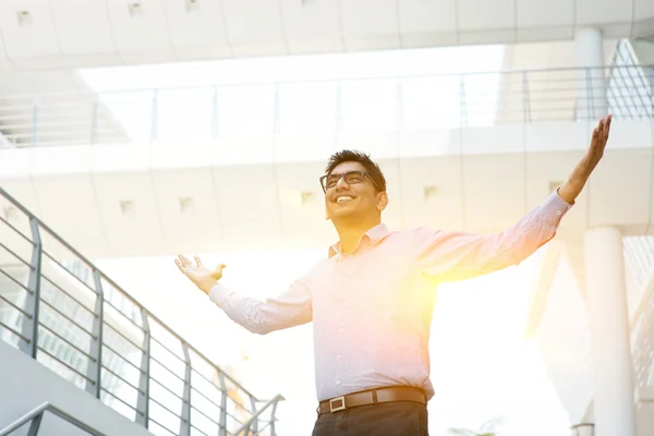 Asiático Indiano pessoas de negócios celebrando o sucesso — Fotografia de Stock