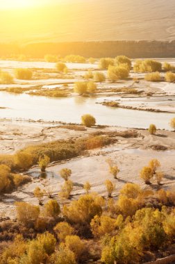 Indus Nehri Hindistan