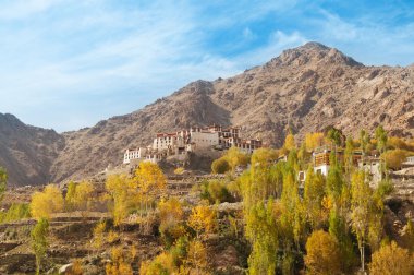 Alchi Monastery in Leh clipart