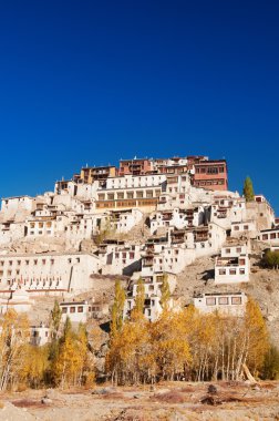 Thikse Gompa Hindistan