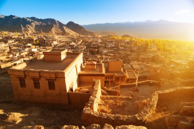 Leh city Ladakh India clipart