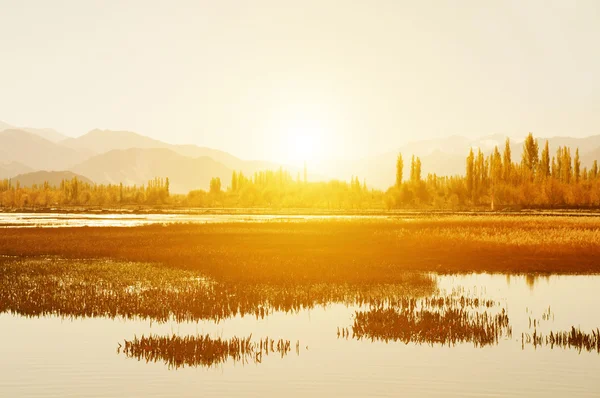 Lago dos Peixes Sagrados, Mosteiro Shey — Fotografia de Stock