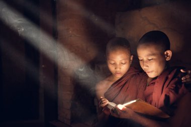 Buddhist novice monks reading in monastery clipart