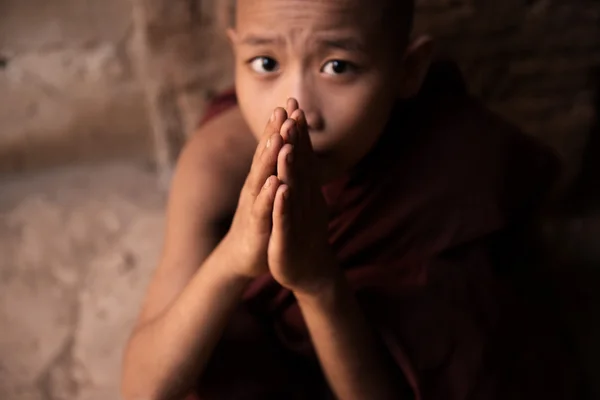 Monjes novicios budistas rezando —  Fotos de Stock