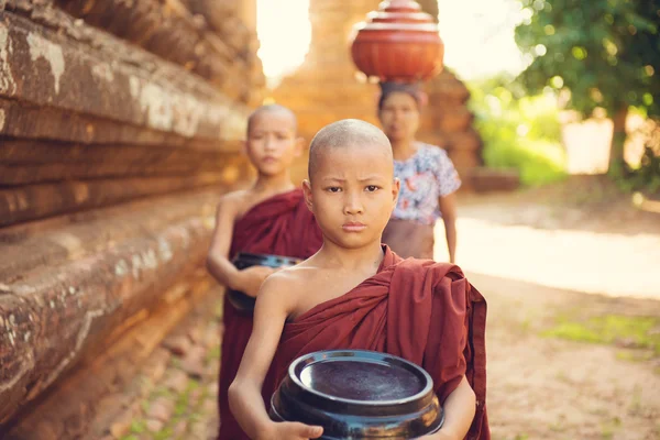 Buddhista újonc szerzetesek összegyűjtése élelmiszerek — Stock Fotó