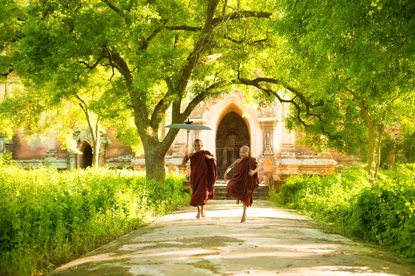 Jóvenes monjes novicios budistas corriendo — Foto de Stock