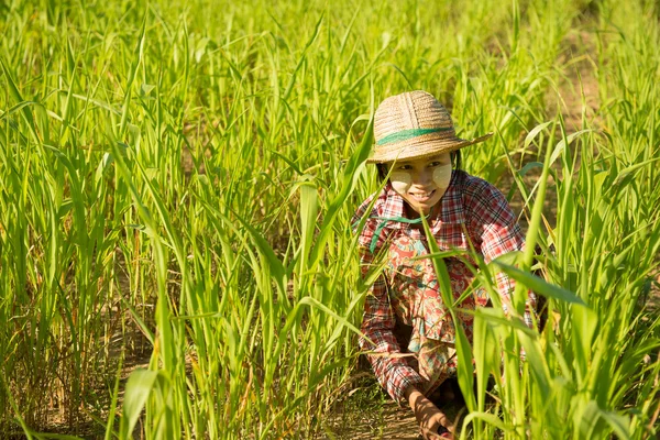 Traditionnel jeune Asiatique femme agriculteur — Photo