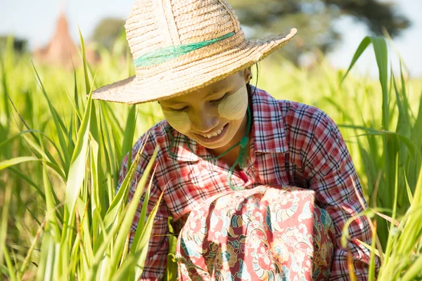 Fiatal ázsiai burmai női farmer — Stock Fotó