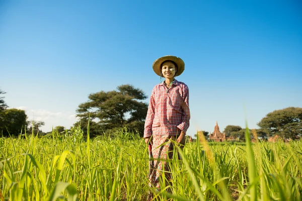 Joven asiática agricultor —  Fotos de Stock