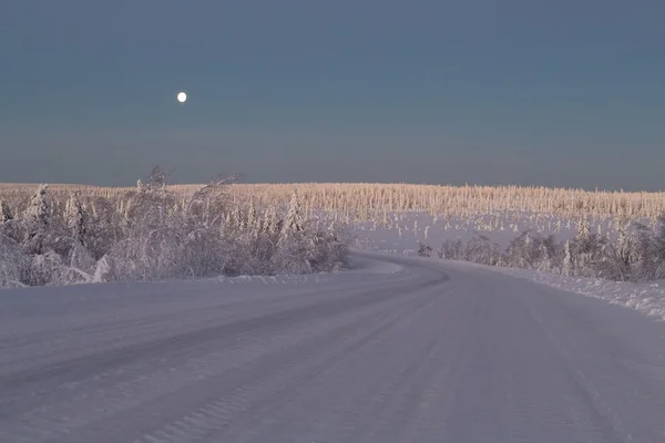 Camino cubierto de nieve —  Fotos de Stock