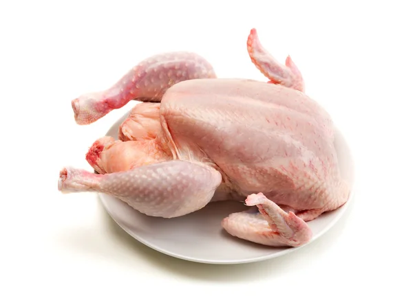 Tavuk üzerine beyaz izole — Stok fotoğraf