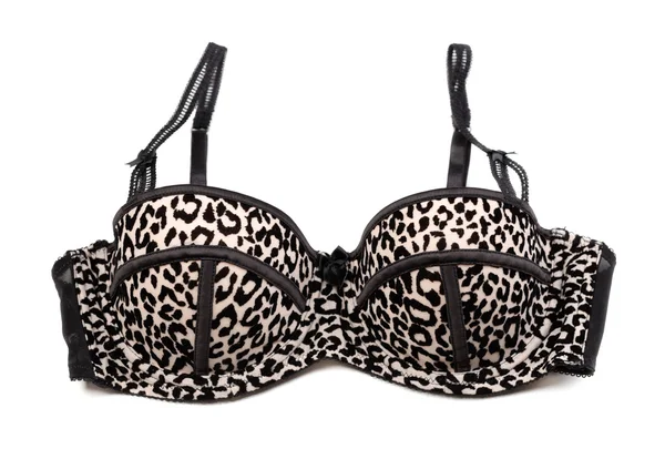 Leopard bra — Stock Photo, Image